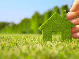 Eco-Friendly Roofing