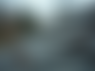 Urgent Roof Repair Services in Canada: What You Need to Know