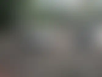 Common Flat Roof Repair Problems in Toronto and How to Address Them