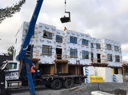 Screen Shot 2020-01-15 at 4.12.41 PM copy.png