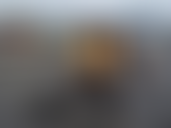 Top 5 Factors That Determine the Cost of Roof Repairs