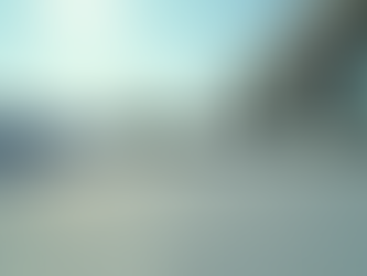  Roofing Options for Your Property