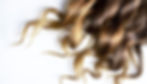AdobeStock_294181967_edited_edited.jpg