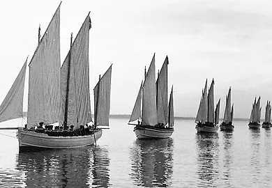 987c77_91e5a774b132f78a6cb721ea582163ba.