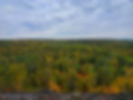 An overlook over a vast forest mostly green with some yellow and orange under a large overcast sky