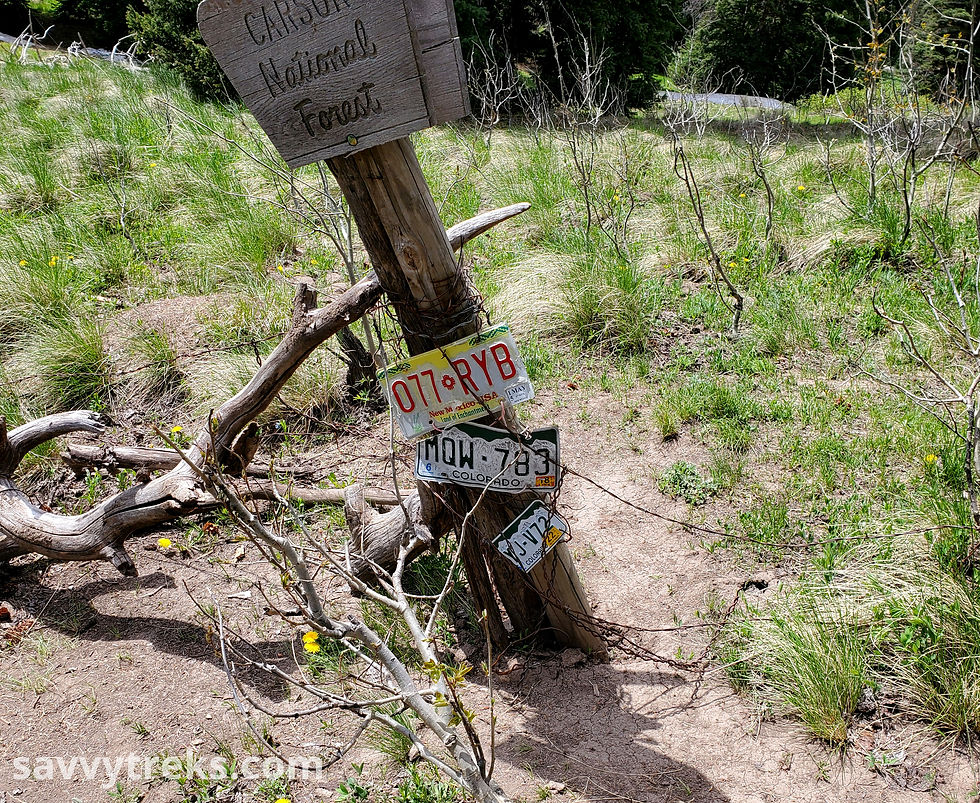 A wooden post with a Leaving Carson National Forest sign in the middle of the Continental Divide Trail has a Colorado and a New Mexico license plate attached to it