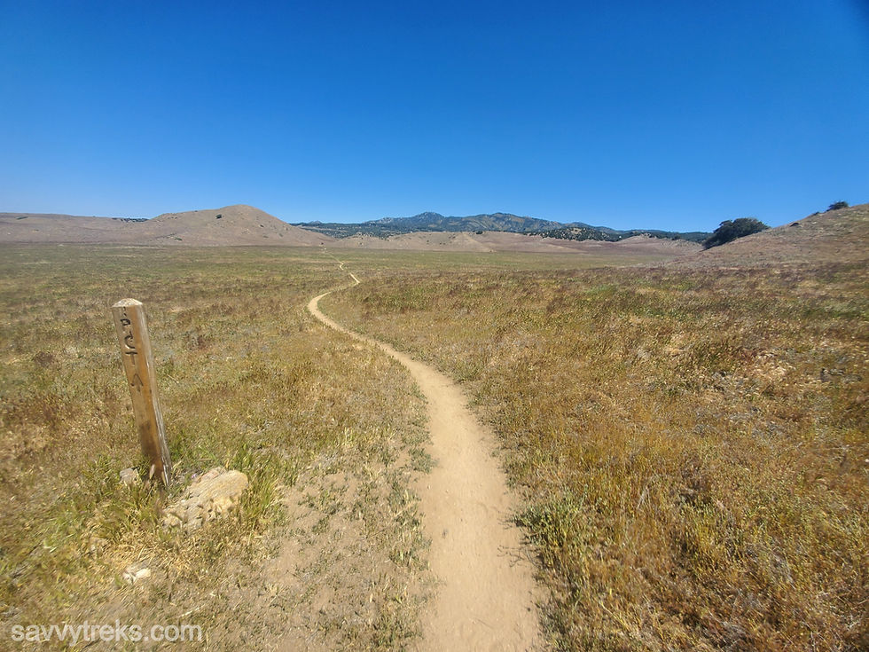 A thin dirt trail travels through an expansive meadow and disappears as it approaches low hills underneath a clear blue sky. A wooden signpost marks the PCT with an arrow.