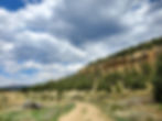 A dirt road leads underneath red cliffs and piñon pines under a blue sky with some threatening gray clouds