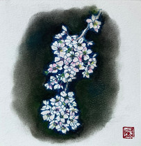 桜.Cerisier.01