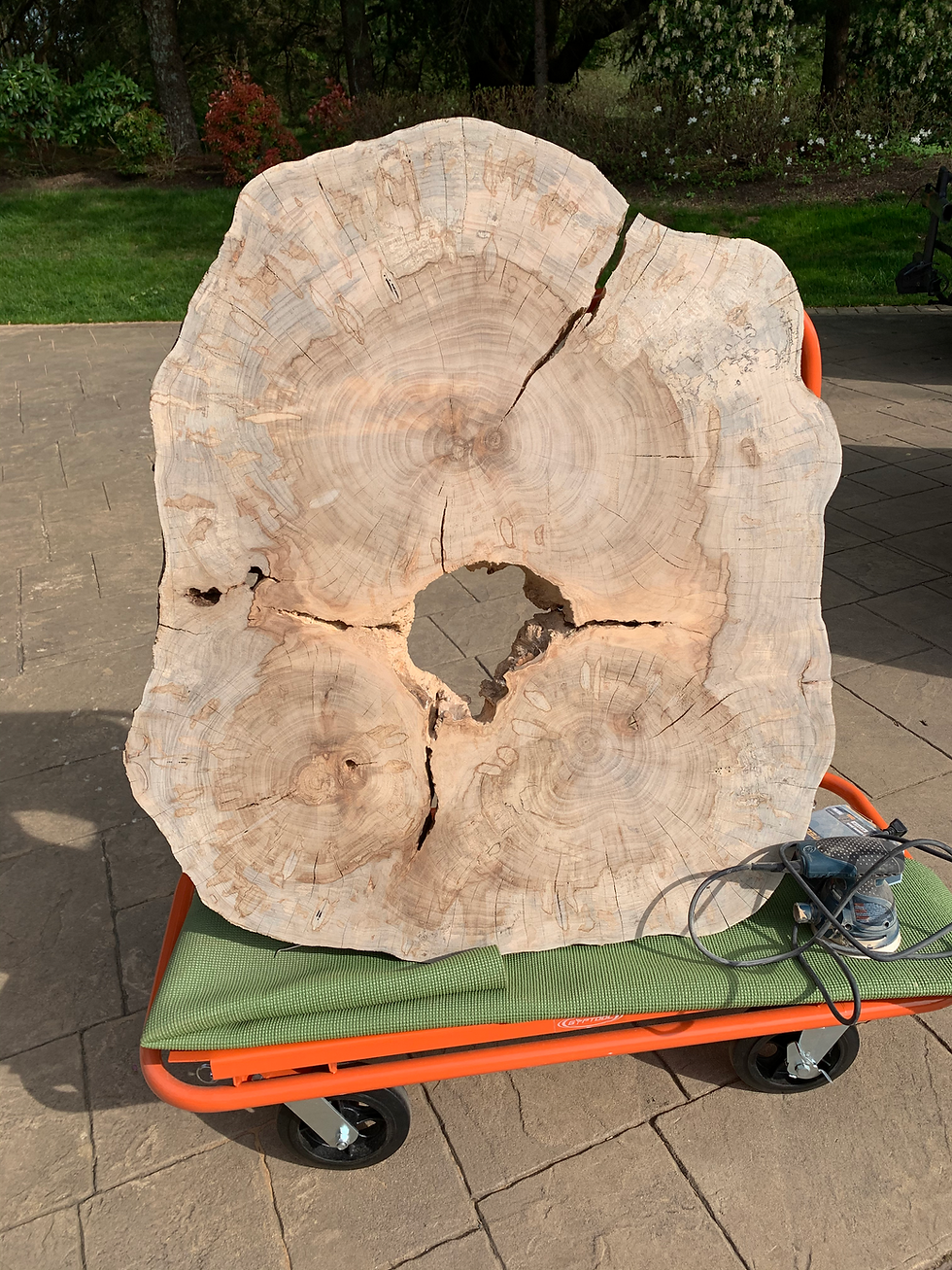 Thumbnail: Silver Maple “Triple Trunk” Table