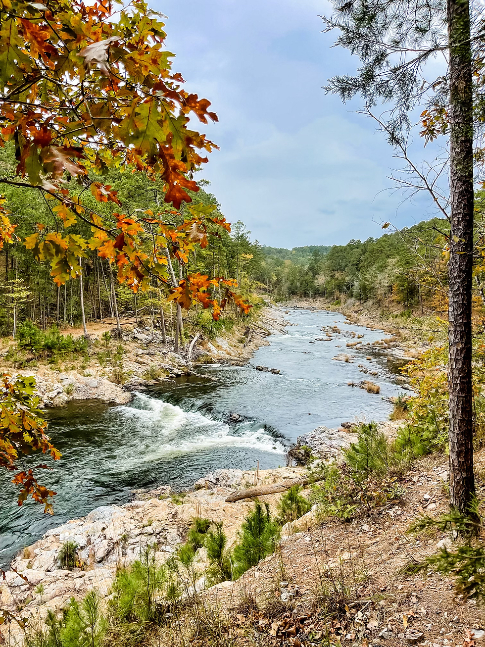 Fall Leaves on the Mountain Fork River