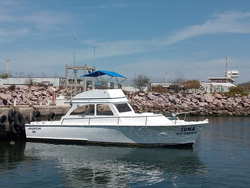 Foto de Mazatlán Concierge (1).jpg