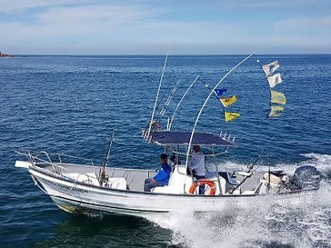 PANGA.jpg