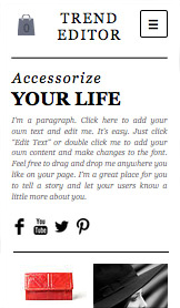 Ver todas las plantillas plantillas web –  Tienda de accesorios