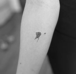 RoseTattoo