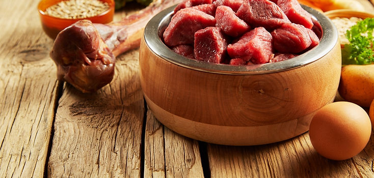 shutterstock_1307975536 (BARF) (1).jpg