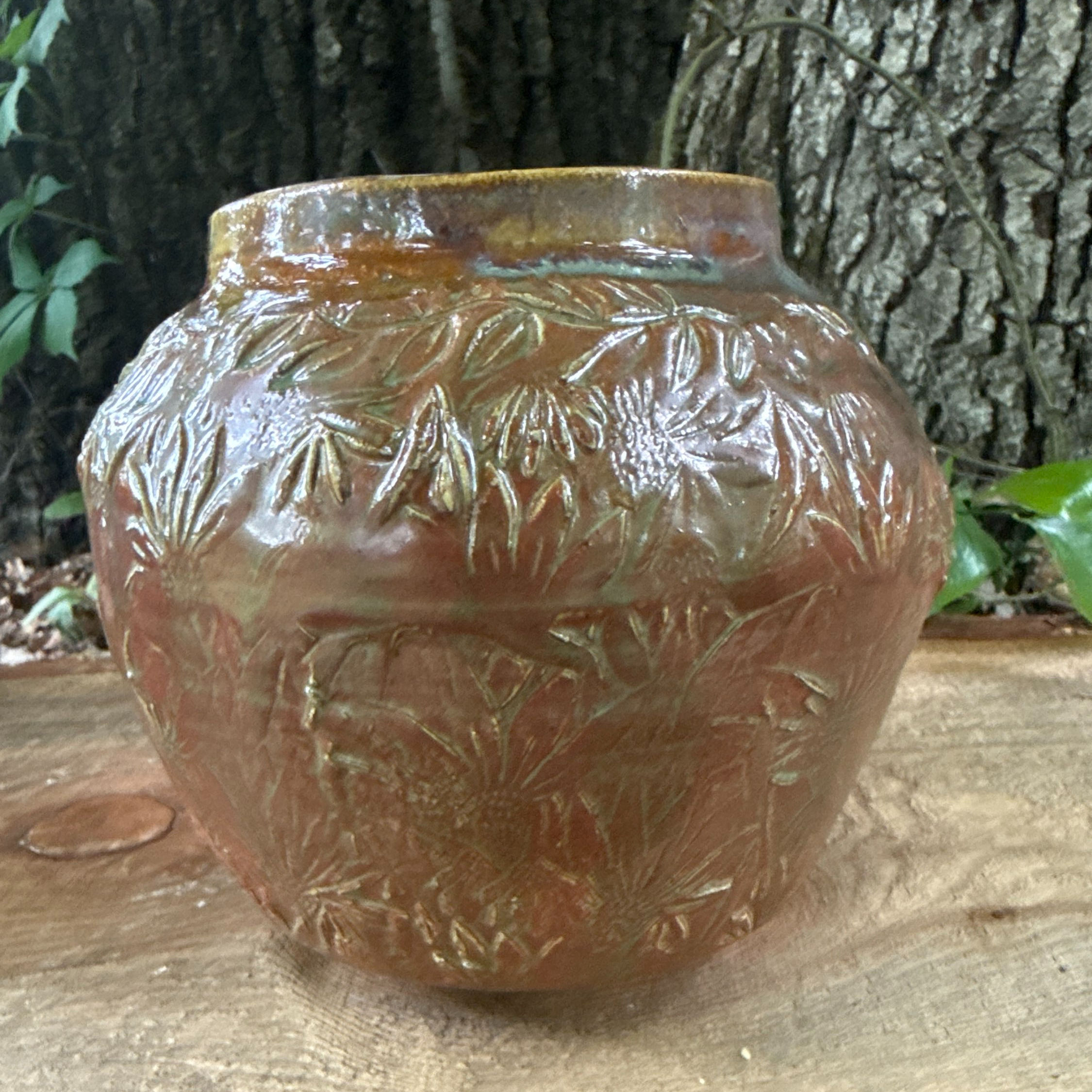 Cone flowers in Shino