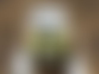 Truth in the Tide: Responsible Reporting of Scientific Information