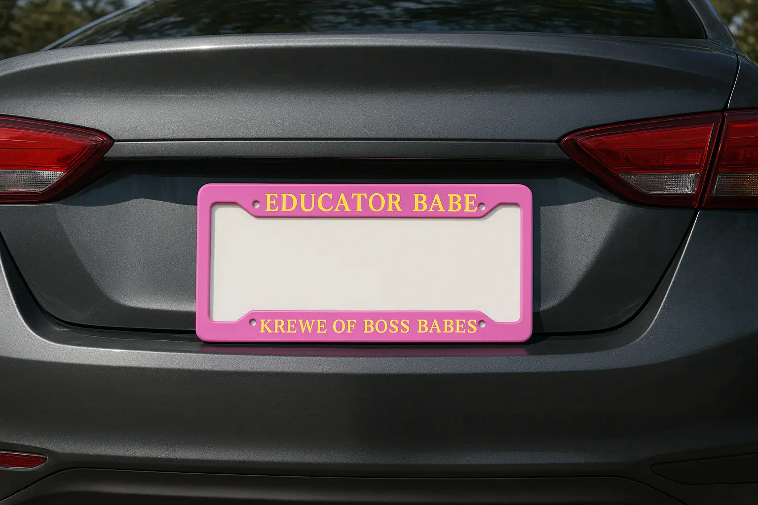 EDUCATOR BABE - LICENSE PLATE