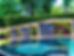 Plant Wall 1.jpg