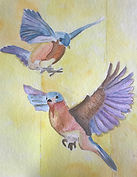 2bluebirds.jpg