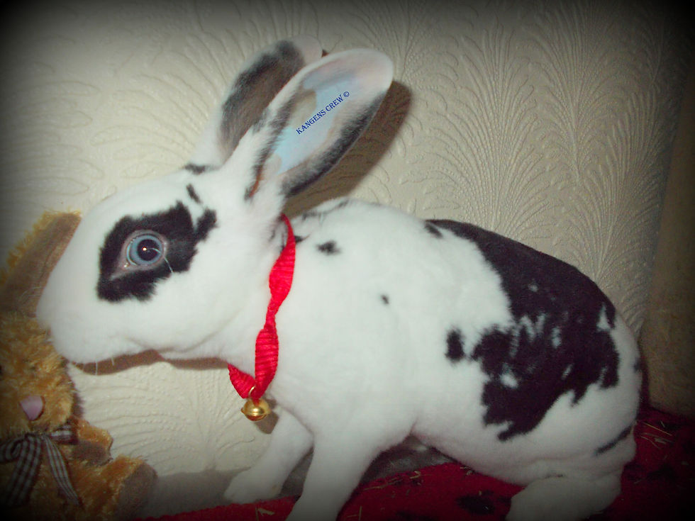 DSCN1218.JPG