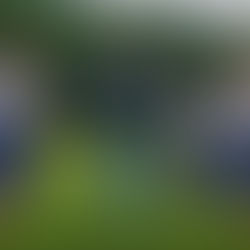 VIDEOKLIPY - Aby vaša hudba bola vidieť!