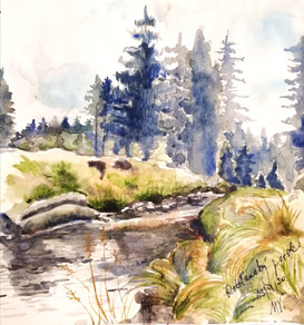 Roklansky Stream, Šumava, CZ