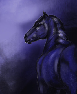 Night Sky Coat, DnD