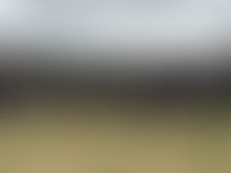 Baseball team in black and yellow uniforms poses on a field under a cloudy sky. Players wear matching caps, showing camaraderie. These are the sophomores being recognized.