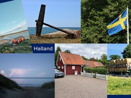 🇸🇪 Back to Our Roots – A Journey to Sweden With My Son