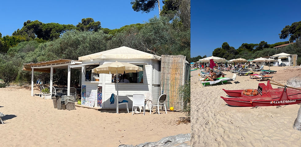 The beach bar and the rental sunbeds