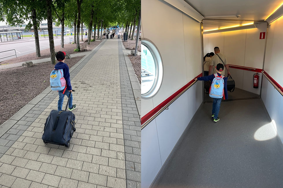Ready to go back home to Vienna