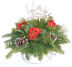Silver Poinsettia Pot.jpg