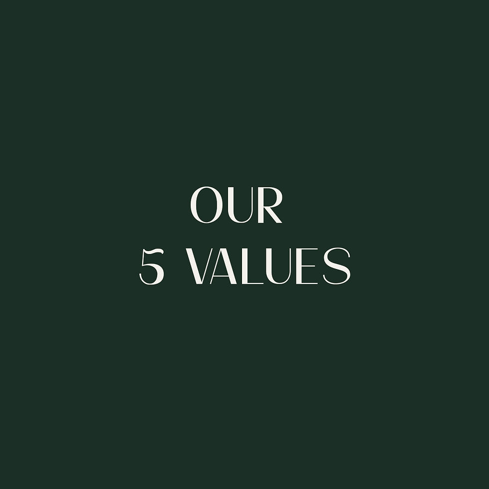 5 VALEURS Eng.jpg