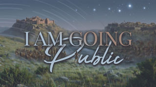 Step Out of the Shadows: The Power of Going Public