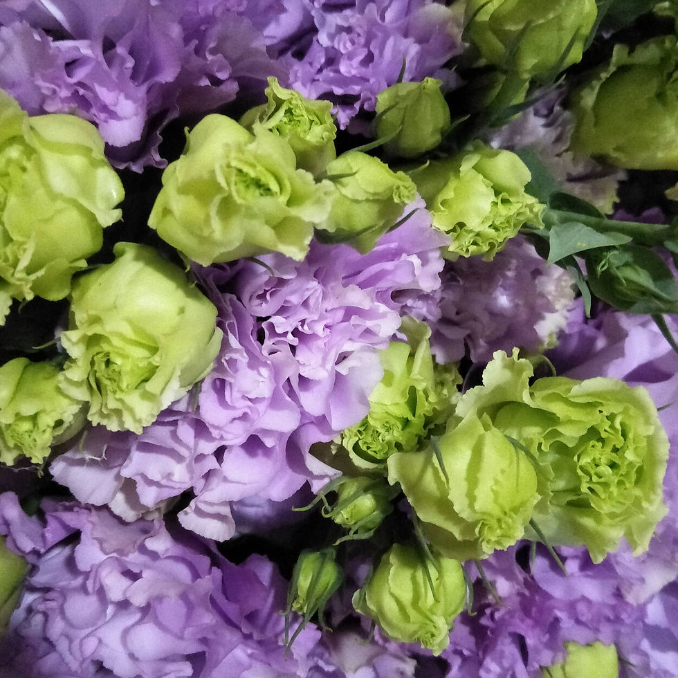 FBJ 花不園 卷邊 桔梗 波浪淺紫 多枝/扎