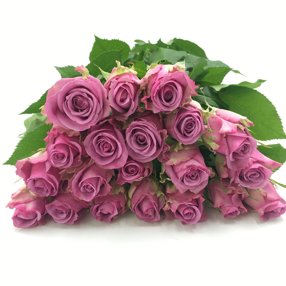 FBJ 花不園 紫色系 玫瑰 冷美人 20枝/扎