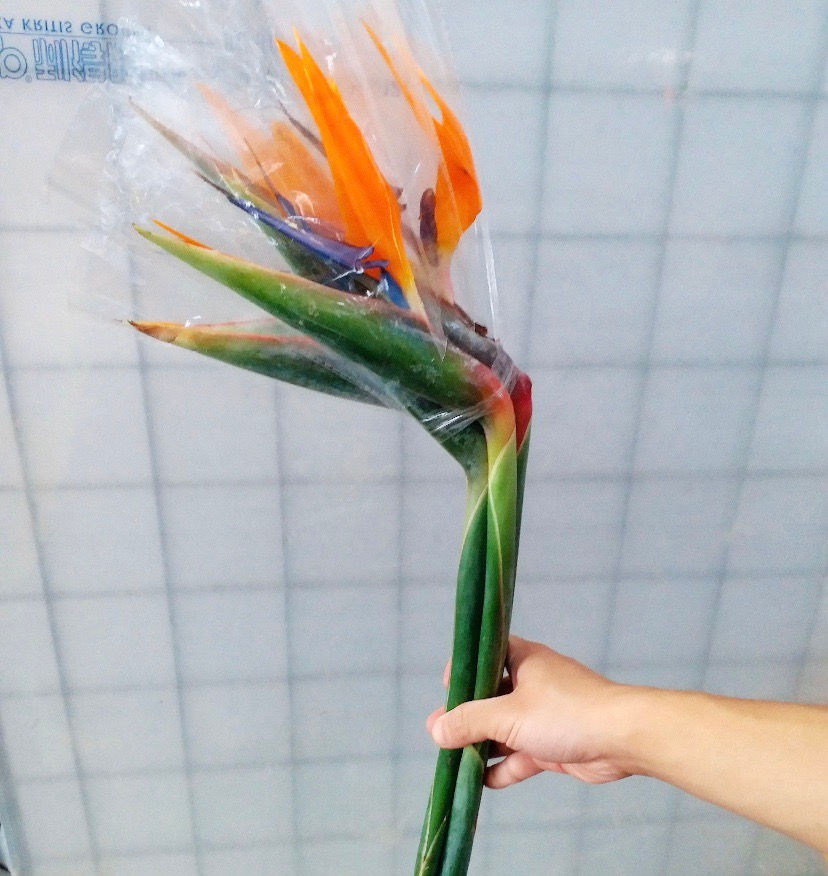 縮圖：花不園 鮮花批發 天堂鳥 1枝