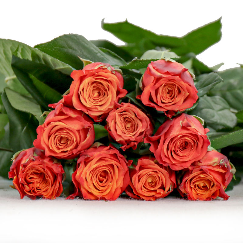 FBJ 花不園 橙色系 玫瑰 火焰 20枝/扎