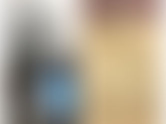 Driving The Bertinator