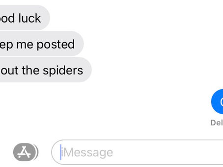 Spiders