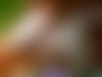 Happiness is an Inside Job & Other Things I Know for Sure