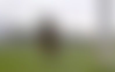 Think of Every Town You've Lived In