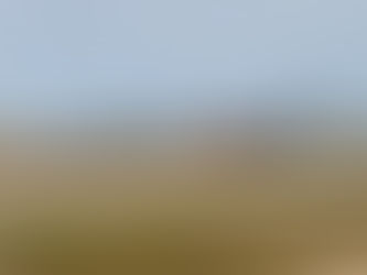 Go Out to the Places You Will be From