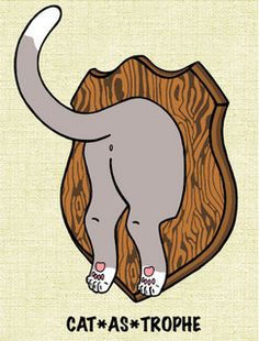 Cat’s Don’t Have Butt Cheeks