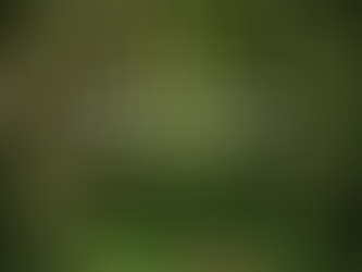 Should we bake a cake or bring a shovel?