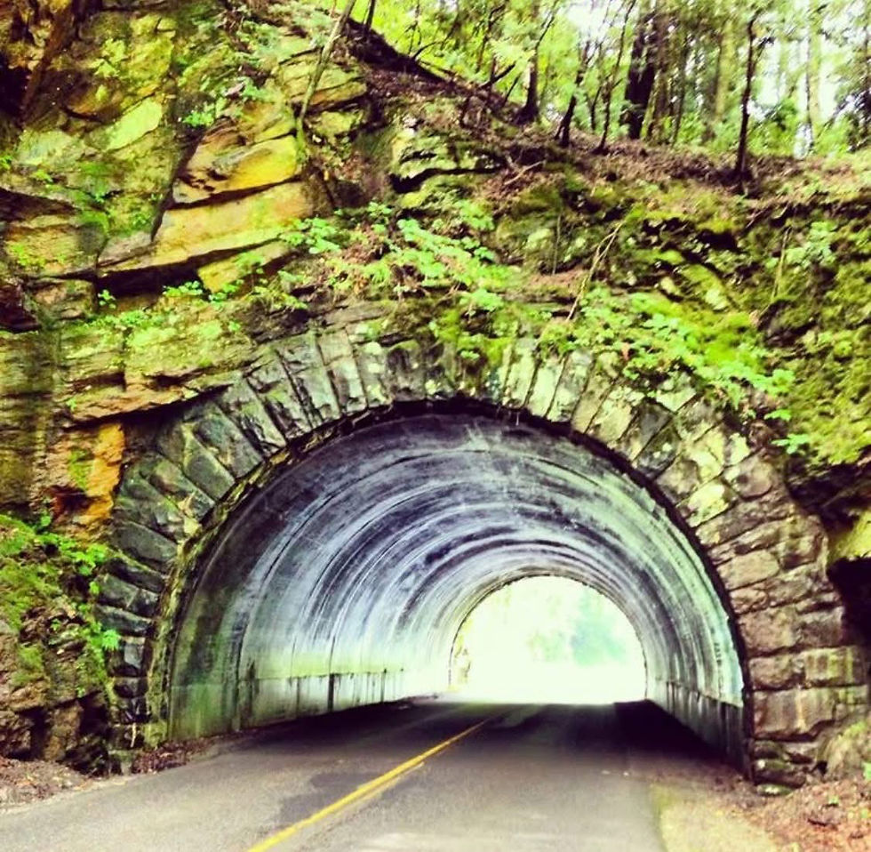 OVJC Stock ride Caves Cove, Parsons Branch, Tail of the Dragon and the Foothill Parkway