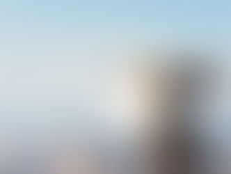 Presolve Zienswijzemethode