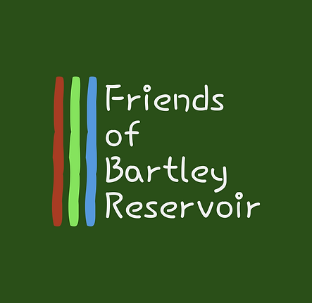 Original.png
